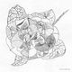 Camelia
